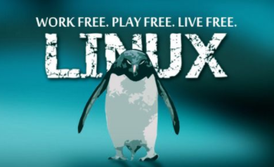 新手想学好Linux系统需要掌握哪些内容？